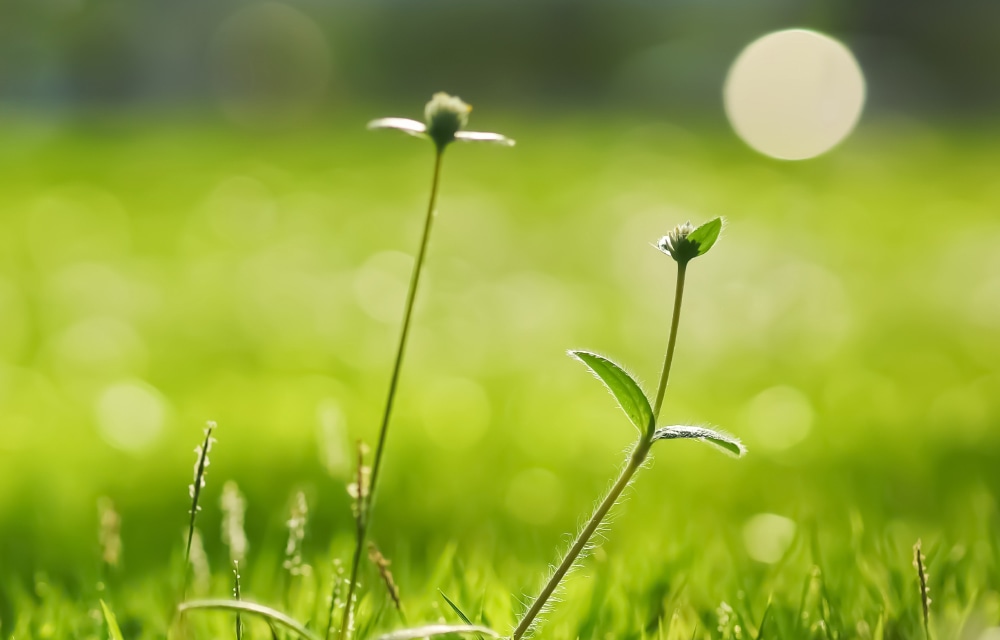 カウンセリング