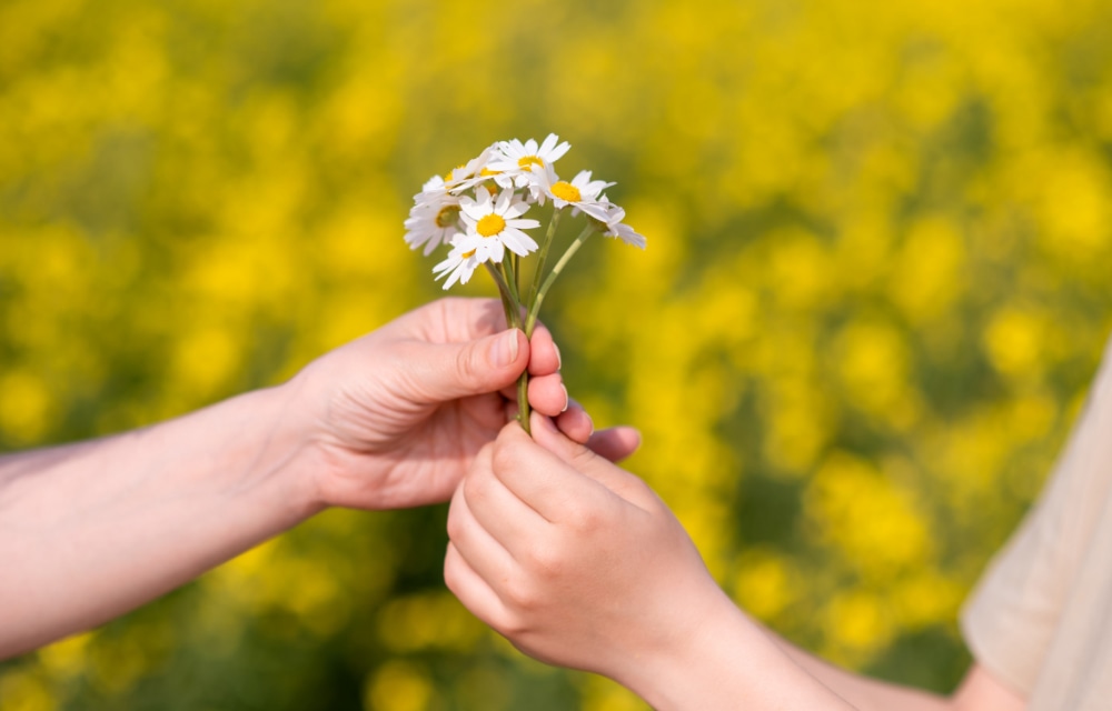 ソマティック・エクスペリエンシング®