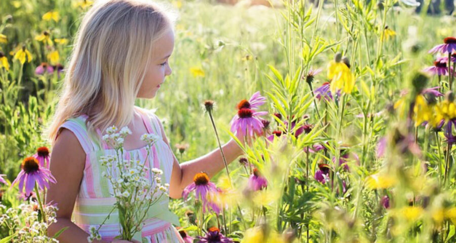 欅セラピールーム　インナーチャイルドの癒し